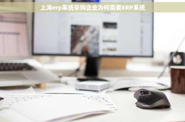 上海erp系统采购企业为何需要ERP系统