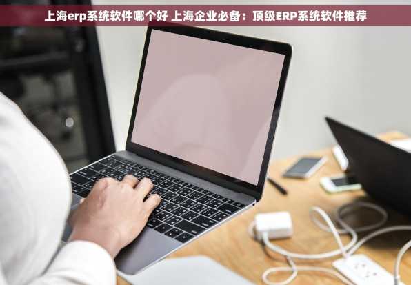 上海erp系统软件哪个好 上海企业必备：顶级ERP系统软件推荐