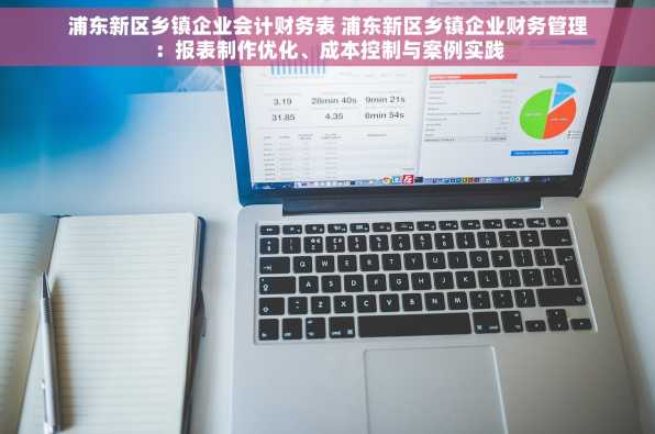 浦东新区乡镇企业会计财务表 浦东新区乡镇企业财务管理：报表制作优化、成本控制与案例实践