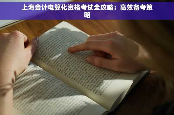 上海会计电算化资格考试全攻略：高效备考策略