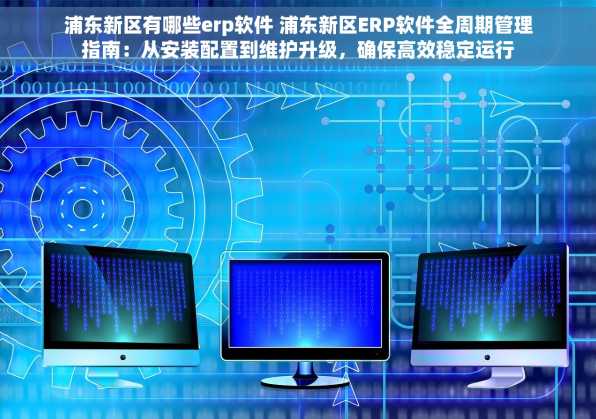 浦东新区有哪些erp软件 浦东新区ERP软件全周期管理指南：从安装配置到维护升级，确保高效稳定运行