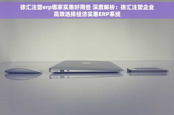 徐汇注塑erp哪家实惠好用些 深度解析：徐汇注塑企业高效选择经济实惠ERP系统
