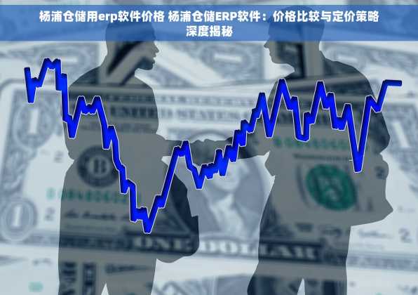 杨浦仓储用erp软件价格 杨浦仓储ERP软件：价格比较与定价策略深度揭秘