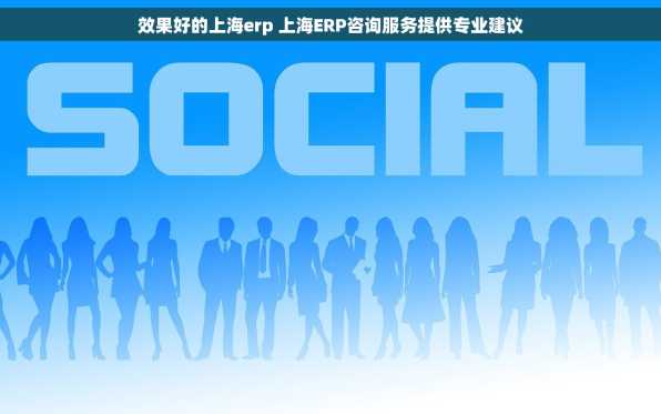效果好的上海erp 上海ERP咨询服务提供专业建议