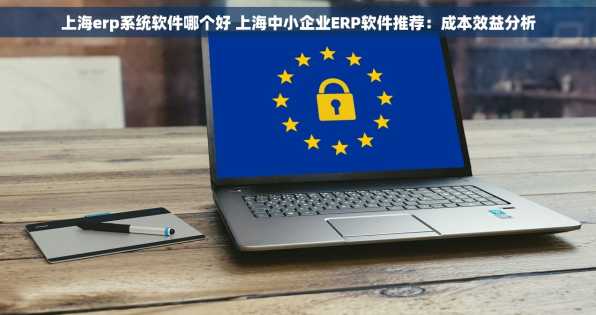 上海erp系统软件哪个好 上海中小企业ERP软件推荐：成本效益分析