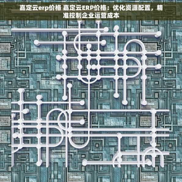 嘉定云erp价格 嘉定云ERP价格：优化资源配置，精准控制企业运营成本