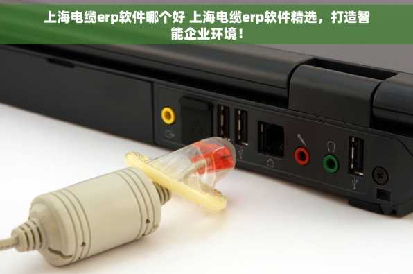上海电缆erp软件哪个好 上海电缆erp软件精选，打造智能企业环境！