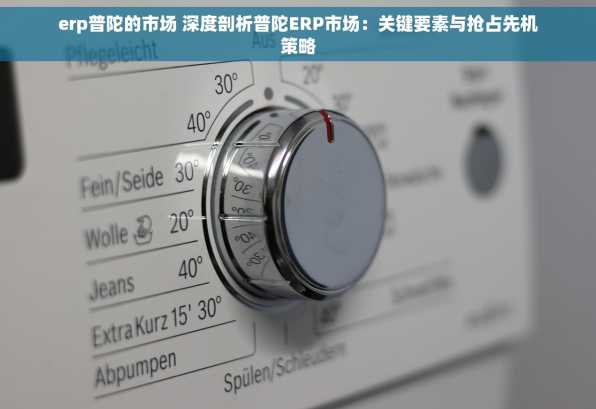 erp普陀的市场 深度剖析普陀ERP市场：关键要素与抢占先机策略