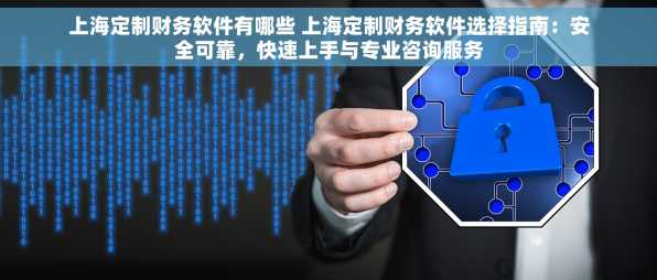 上海定制财务软件有哪些 上海定制财务软件选择指南：安全可靠，快速上手与专业咨询服务