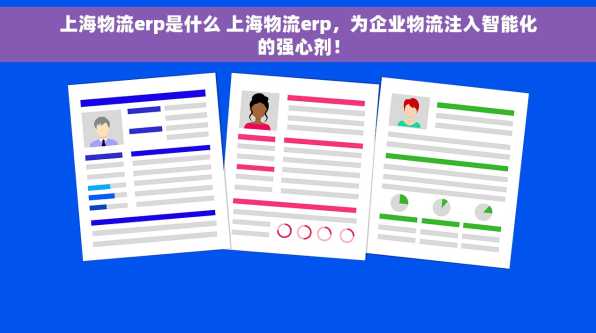 上海物流erp是什么 上海物流erp，为企业物流注入智能化的强心剂！