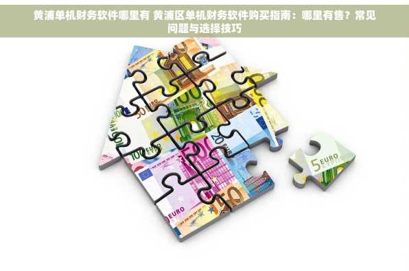 黄浦单机财务软件哪里有 黄浦区单机财务软件购买指南：哪里有售？常见问题与选择技巧