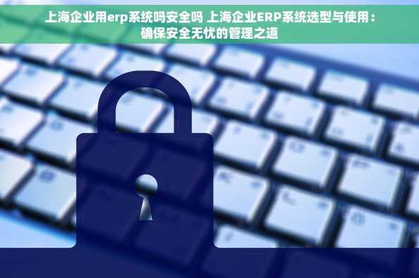 上海企业用erp系统吗安全吗 上海企业ERP系统选型与使用：确保安全无忧的管理之道