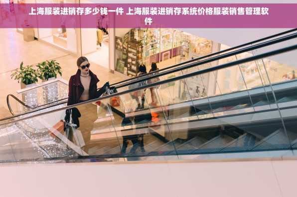 上海服装进销存多少钱一件 上海服装进销存系统价格服装销售管理软件