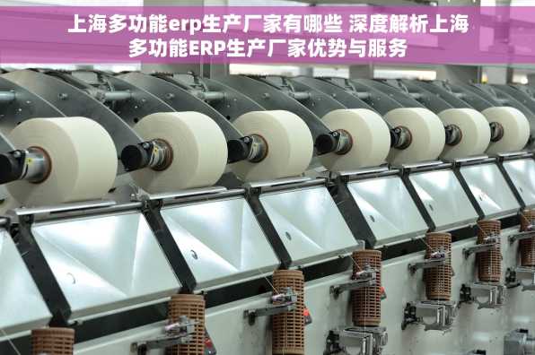 上海多功能erp生产厂家有哪些 深度解析上海多功能ERP生产厂家优势与服务