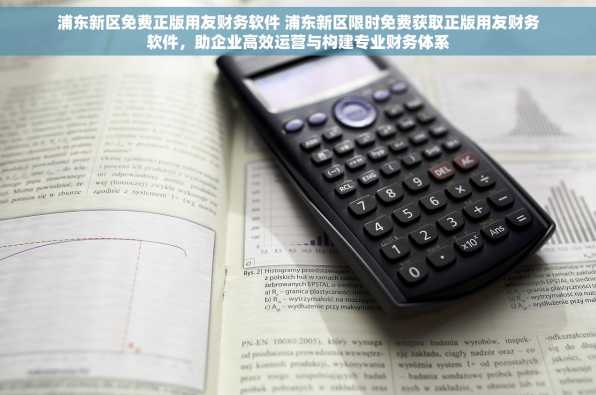 浦东新区免费正版用友财务软件 浦东新区限时免费获取正版用友财务软件，助企业高效运营与构建专业财务体系