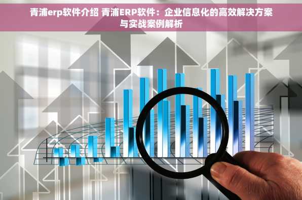 青浦erp软件介绍 青浦ERP软件：企业信息化的高效解决方案与实战案例解析
