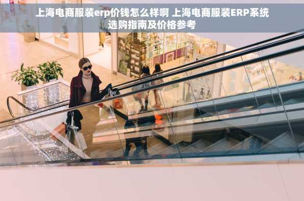 上海电商服装erp价钱怎么样啊 上海电商服装ERP系统选购指南及价格参考