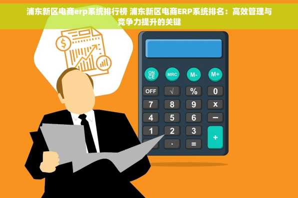 浦东新区电商erp系统排行榜 浦东新区电商ERP系统排名：高效管理与竞争力提升的关键