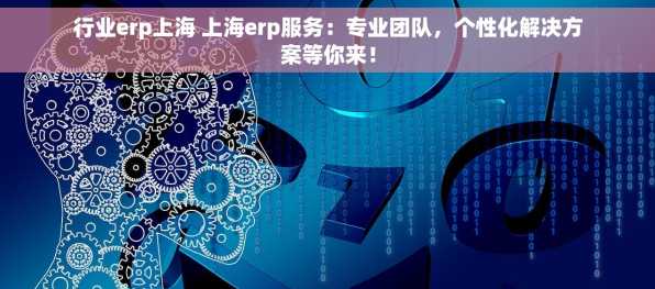 行业erp上海 上海erp服务：专业团队，个性化解决方案等你来！