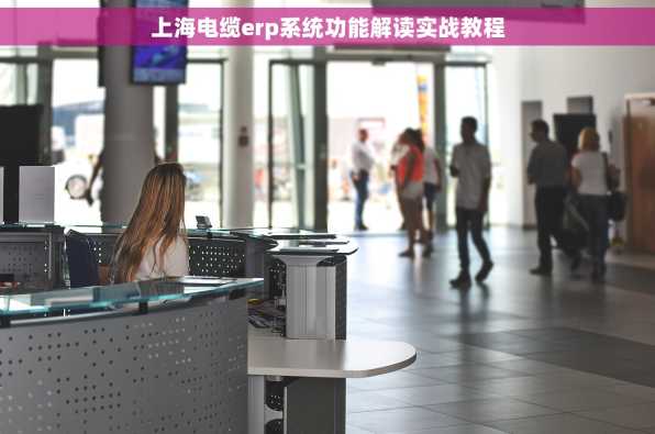 上海电缆erp系统功能解读实战教程
