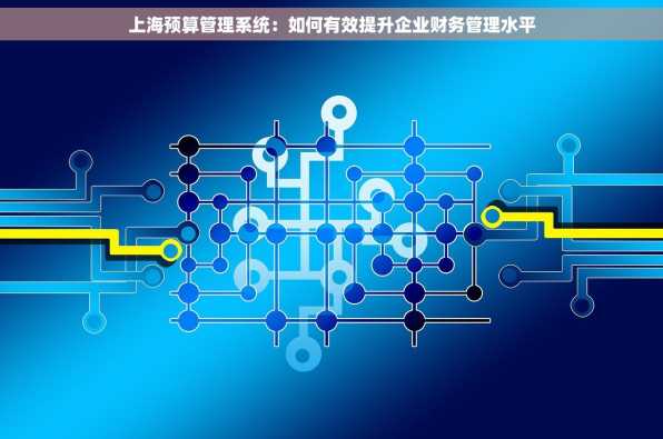 上海预算管理系统：如何有效提升企业财务管理水平