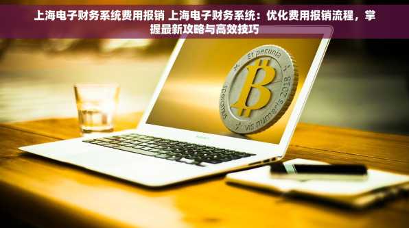 上海电子财务系统费用报销 上海电子财务系统：优化费用报销流程，掌握最新攻略与高效技巧