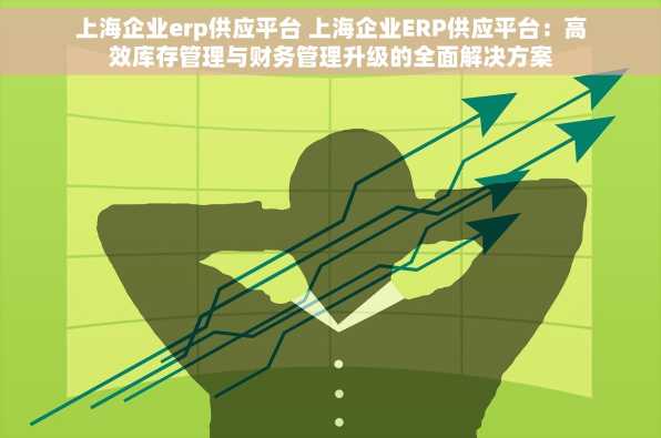 上海企业erp供应平台 上海企业ERP供应平台：高效库存管理与财务管理升级的全面解决方案