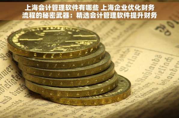 上海会计管理软件有哪些 上海企业优化财务流程的秘密武器：精选会计管理软件提升财务管理效率