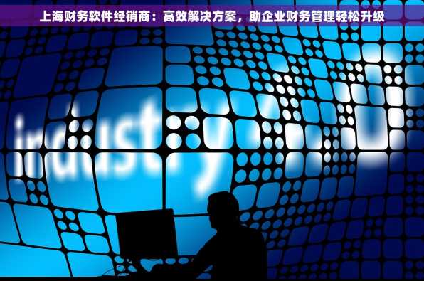 上海财务软件经销商：高效解决方案，助企业财务管理轻松升级