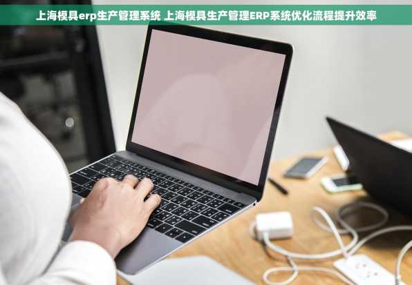 上海模具erp生产管理系统 上海模具生产管理ERP系统优化流程提升效率