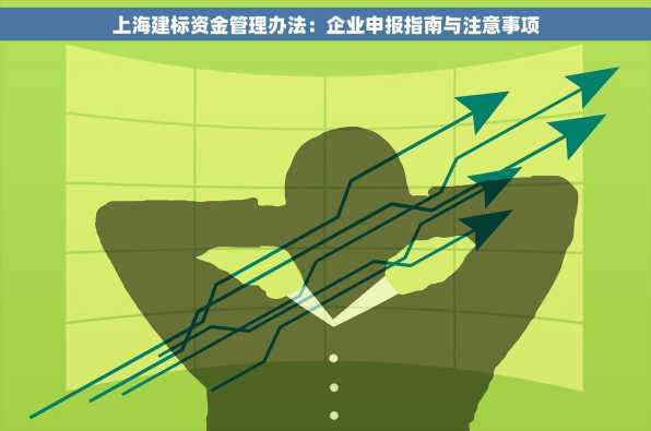 上海建标资金管理办法：企业申报指南与注意事项