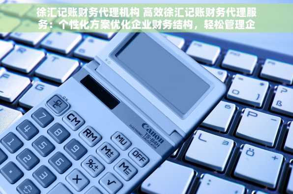 徐汇记账财务代理机构 高效徐汇记账财务代理服务：个性化方案优化企业财务结构，轻松管理企业财务