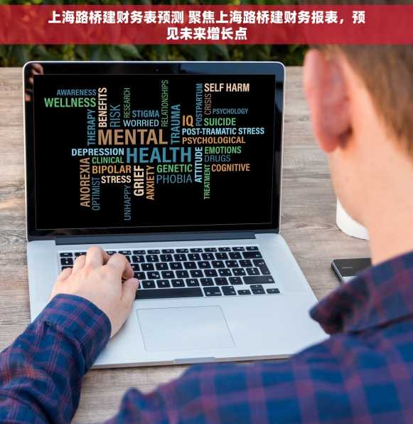 上海路桥建财务表预测 聚焦上海路桥建财务报表，预见未来增长点