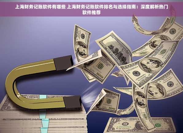 上海财务记账软件有哪些 上海财务记账软件排名与选择指南：深度解析热门软件推荐