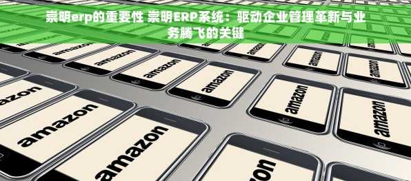 崇明erp的重要性 崇明ERP系统：驱动企业管理革新与业务腾飞的关键
