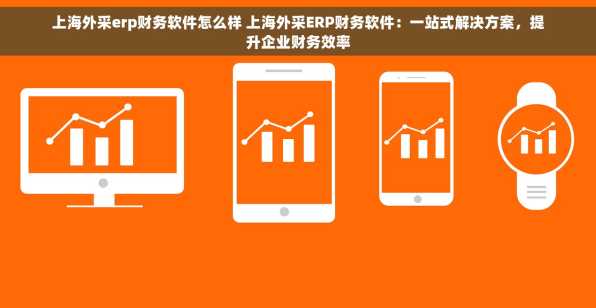 上海外采erp财务软件怎么样 上海外采ERP财务软件：一站式解决方案，提升企业财务效率