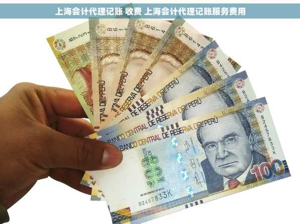 上海会计代理记账 收费 上海会计代理记账服务费用