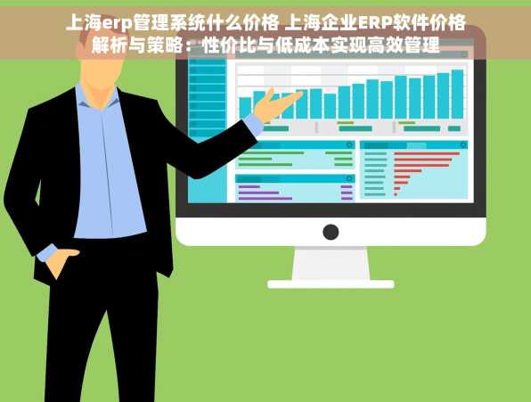上海erp管理系统什么价格 上海企业ERP软件价格解析与策略：性价比与低成本实现高效管理