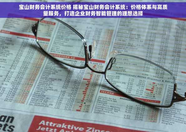 宝山财务会计系统价格 揭秘宝山财务会计系统：价格体系与高质量服务，打造企业财务智能管理的理想选择