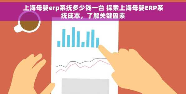 上海母婴erp系统多少钱一台 探索上海母婴ERP系统成本，了解关键因素