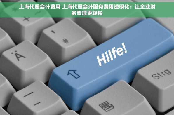 上海代理会计费用 上海代理会计服务费用透明化：让企业财务管理更轻松