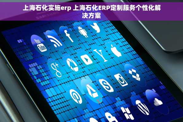 上海石化实施erp 上海石化ERP定制服务个性化解决方案