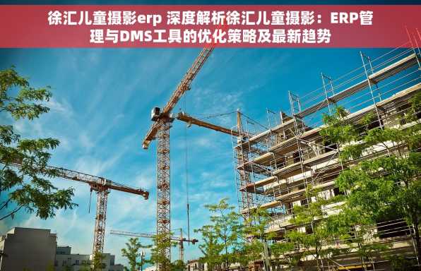 徐汇儿童摄影erp 深度解析徐汇儿童摄影：ERP管理与DMS工具的优化策略及最新趋势