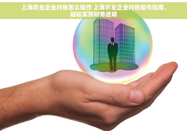 上海农业企业对账怎么操作 上海农业企业对账操作指南，轻松实现财务透明