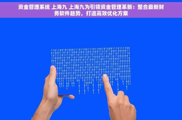 资金管理系统 上海九 上海九为引领资金管理革新：整合最新财务软件趋势，打造高效优化方案