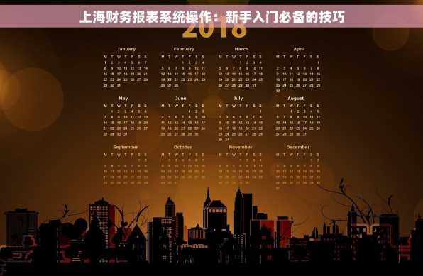上海财务报表系统操作：新手入门必备的技巧
