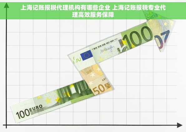 上海记账报税代理机构有哪些企业 上海记账报税专业代理高效服务保障