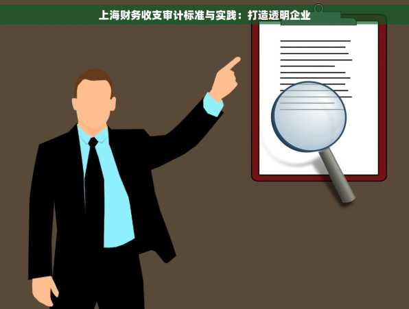 上海财务收支审计标准与实践：打造透明企业