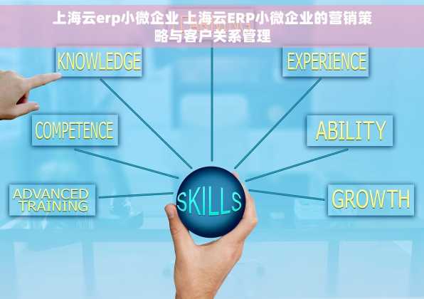 上海云erp小微企业 上海云ERP小微企业的营销策略与客户关系管理