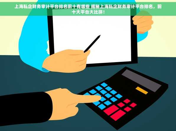 上海私企财务审计平台排名前十有哪些 揭秘上海私企财务审计平台排名，前十大平台大比拼！